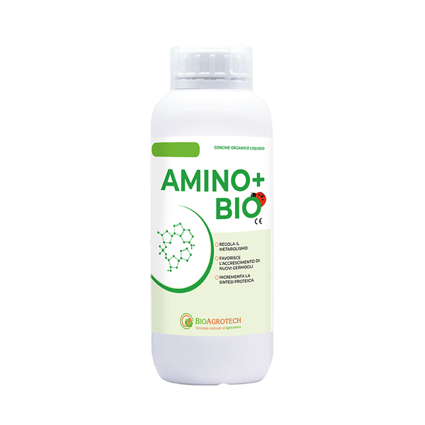 aminoacidi e sviluppo germogli