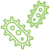Microorganismi